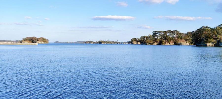 photo_2020-03-12_23-15-09