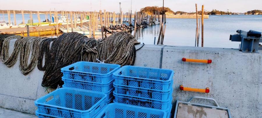 photo_2020-03-13_02-24-35