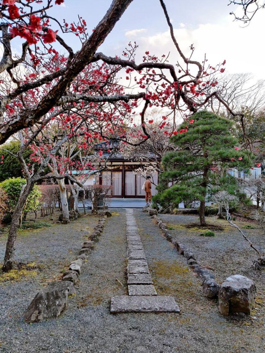 photo_2020-03-14_03-28-21