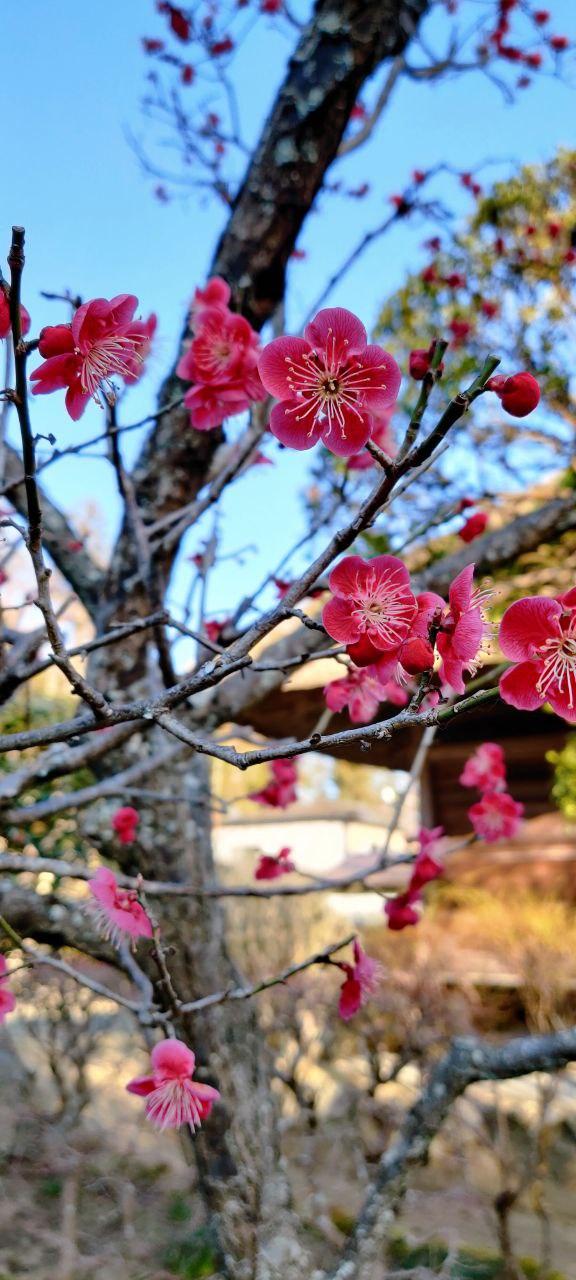 photo_2020-03-14_03-28-24