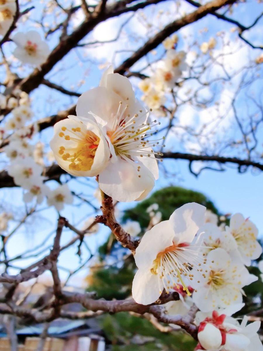 photo_2020-03-14_16-39-03