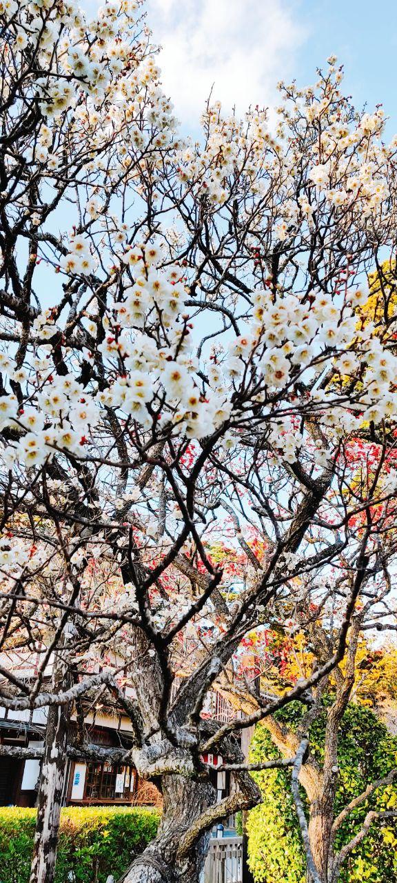 photo_2020-03-14_22-11-17 (2)