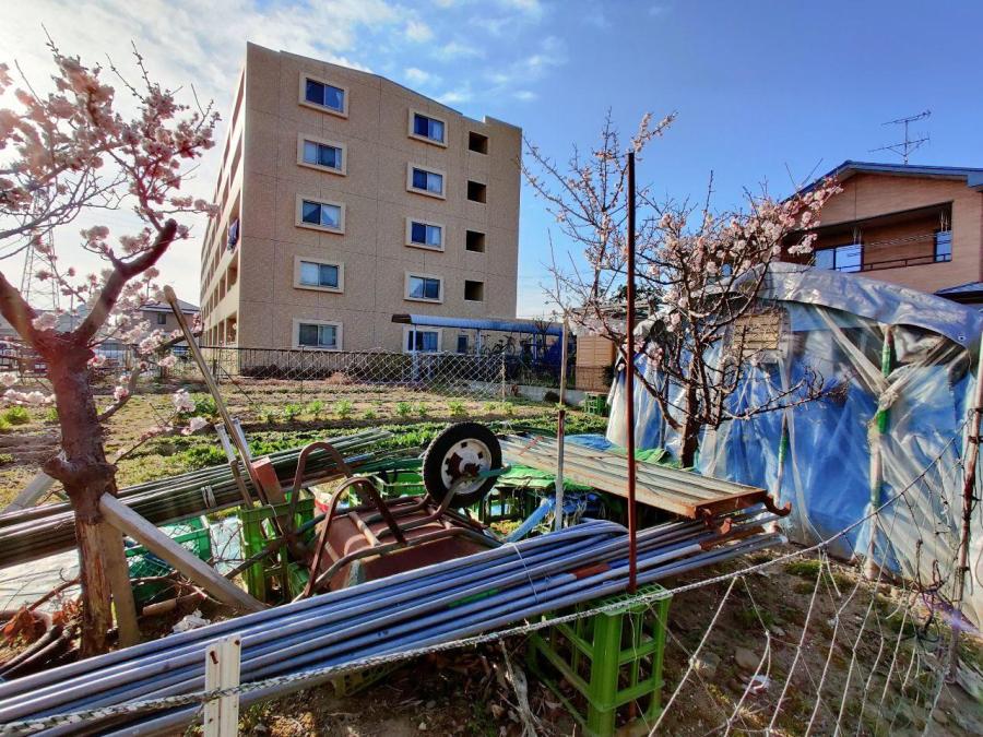 photo_2020-03-19_17-19-40