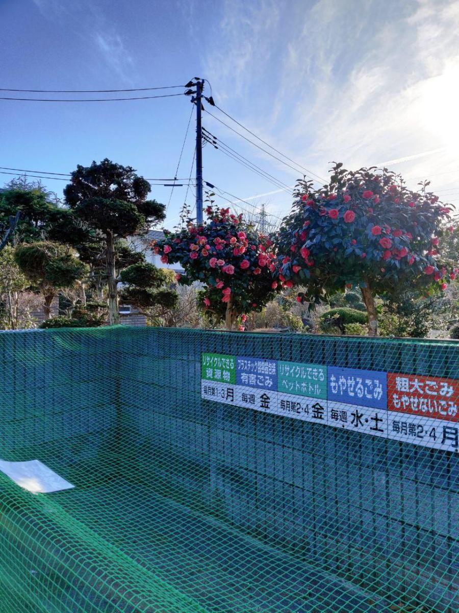 photo_2020-03-19_17-19-42