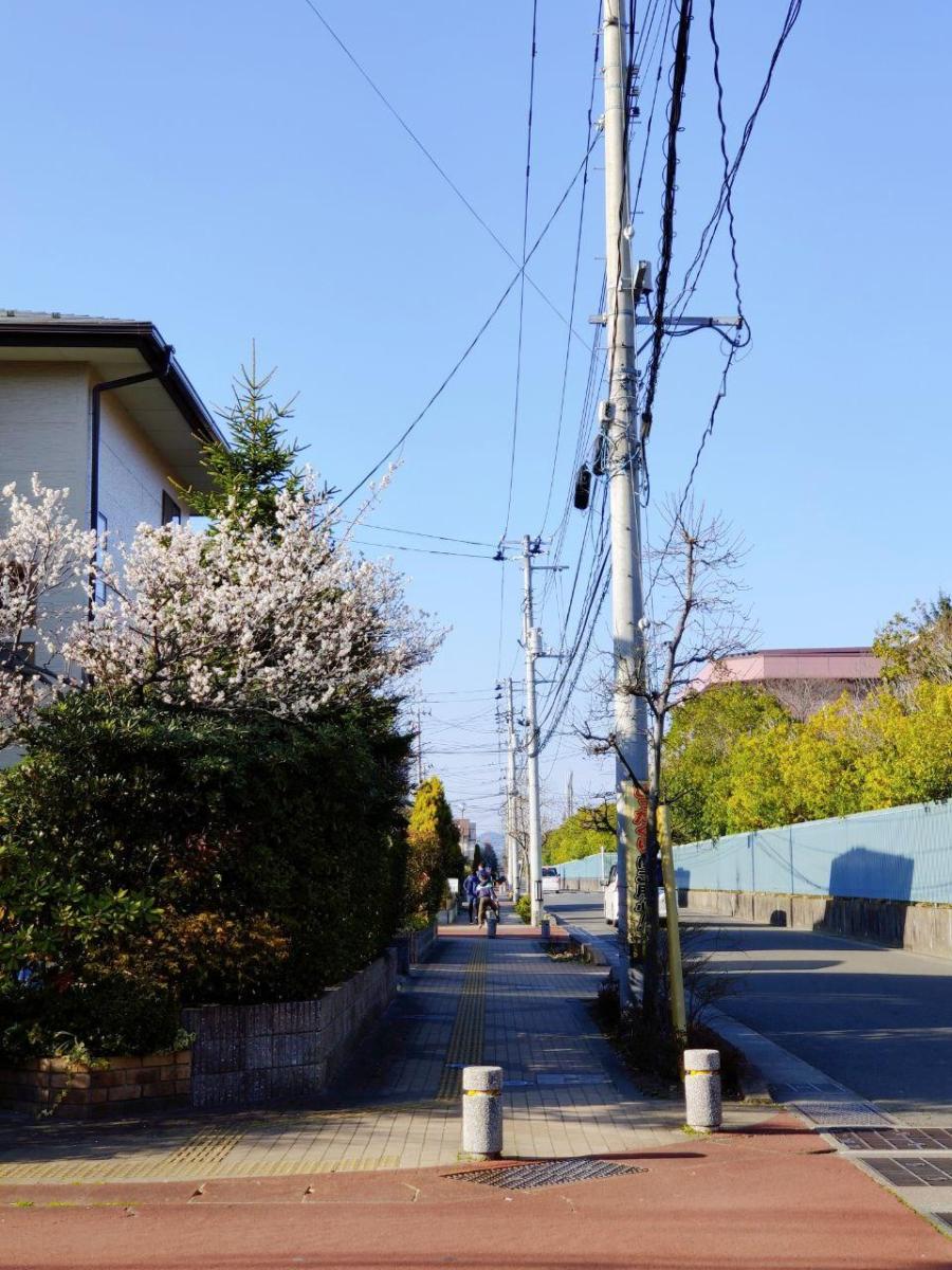 photo_2020-03-19_17-19-44