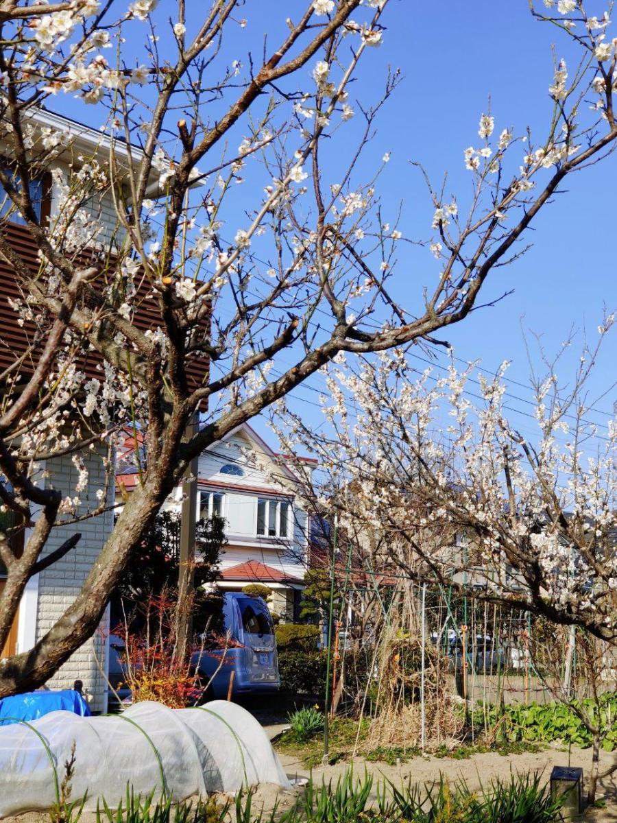 photo_2020-03-19_17-19-51