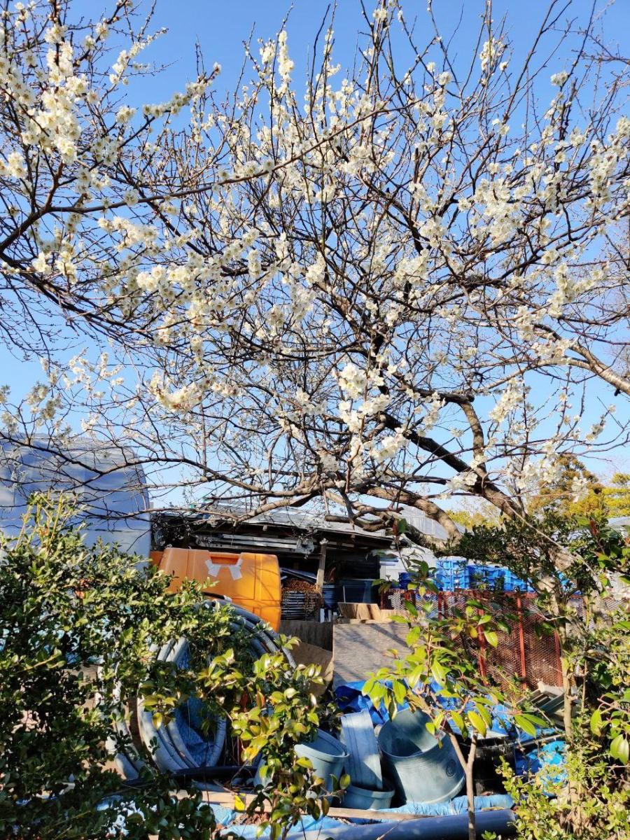 photo_2020-03-19_17-20-16