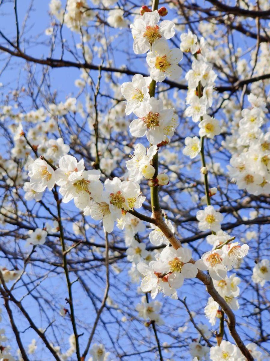 photo_2020-03-19_17-25-51