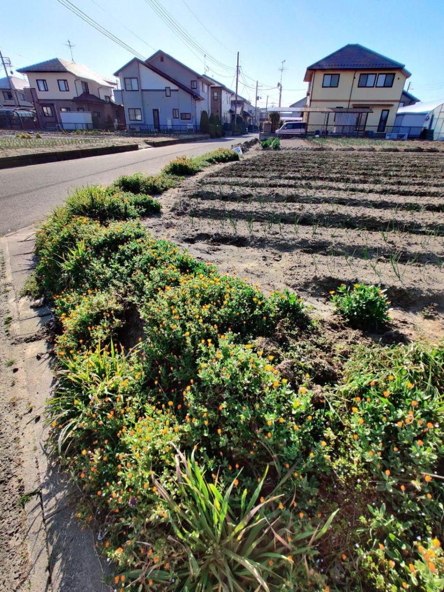 photo_2020-03-19_20-06-41