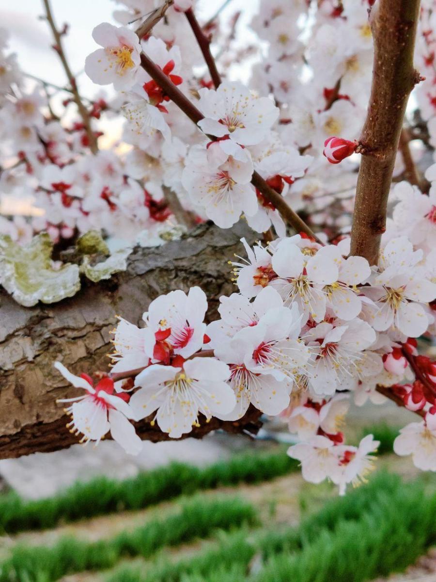 photo_2020-03-22_23-15-05