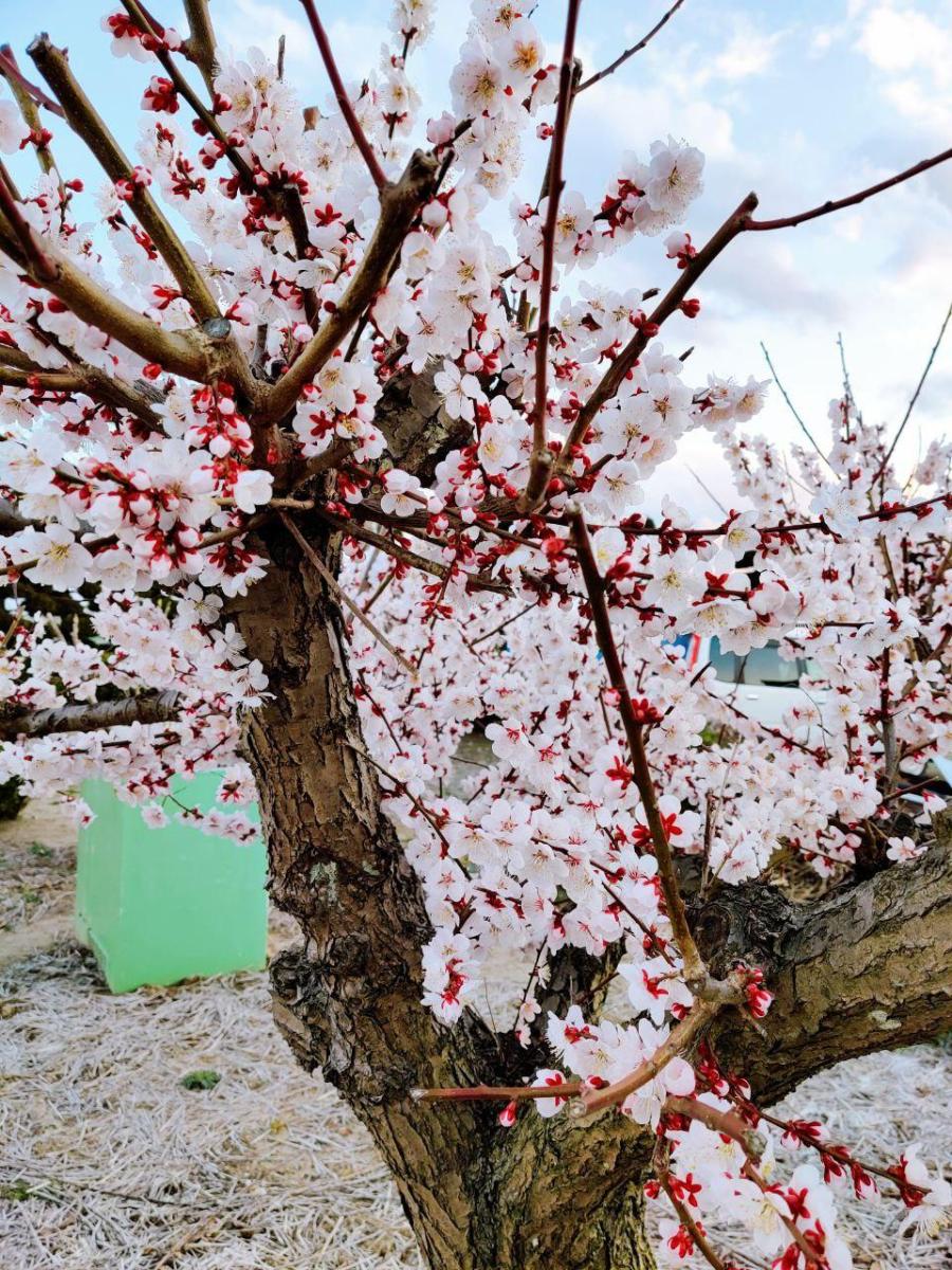 photo_2020-03-22_23-15-36