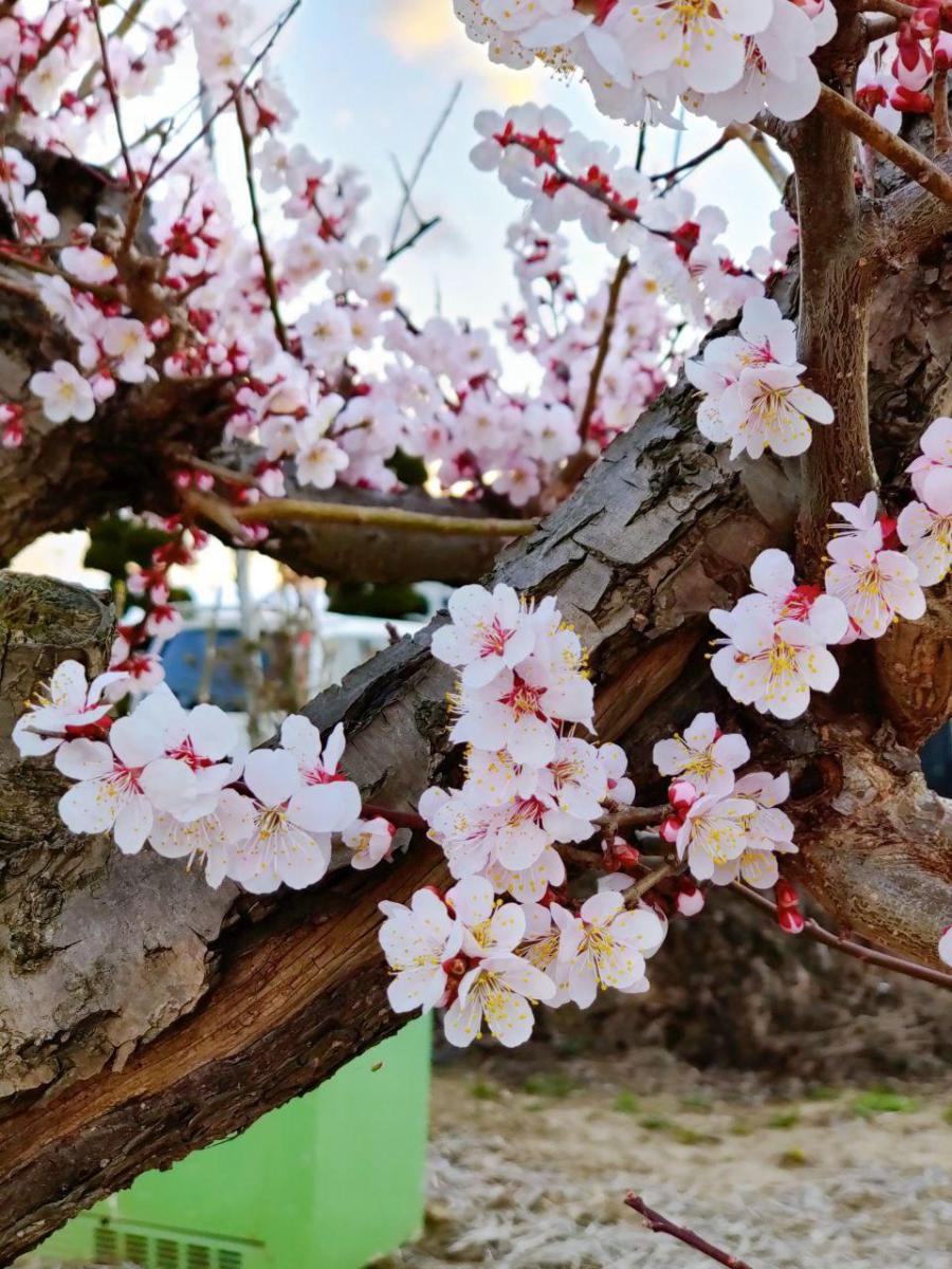 photo_2020-03-22_23-15-41