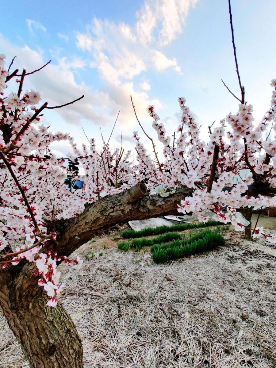 photo_2020-03-22_23-16-08