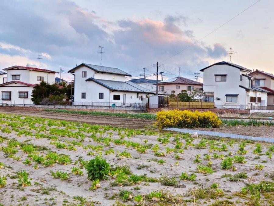 photo_2020-03-22_23-16-19