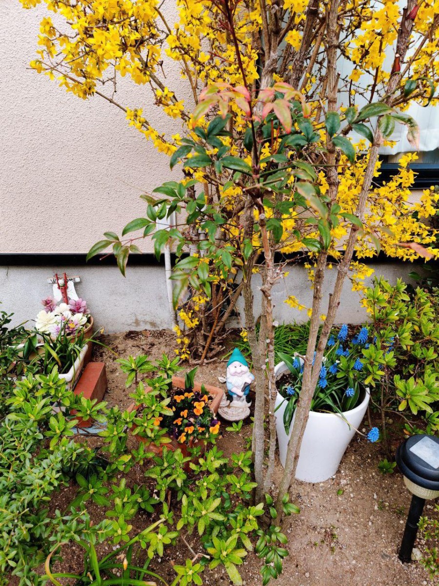 photo_2020-03-28_16-43-40 (2)