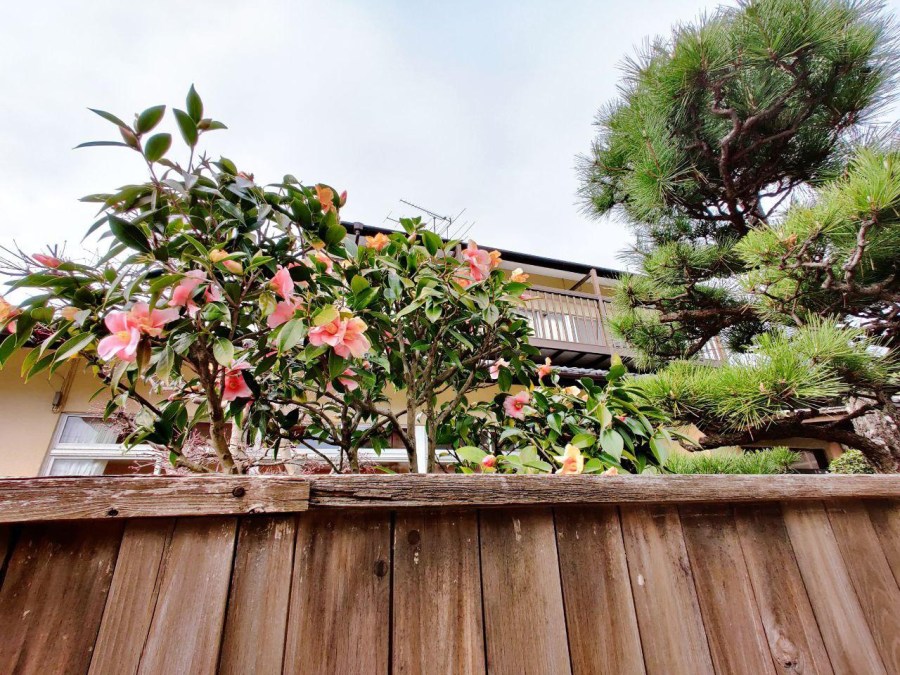 photo_2020-03-28_16-43-40