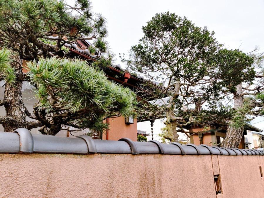 photo_2020-03-28_16-43-50