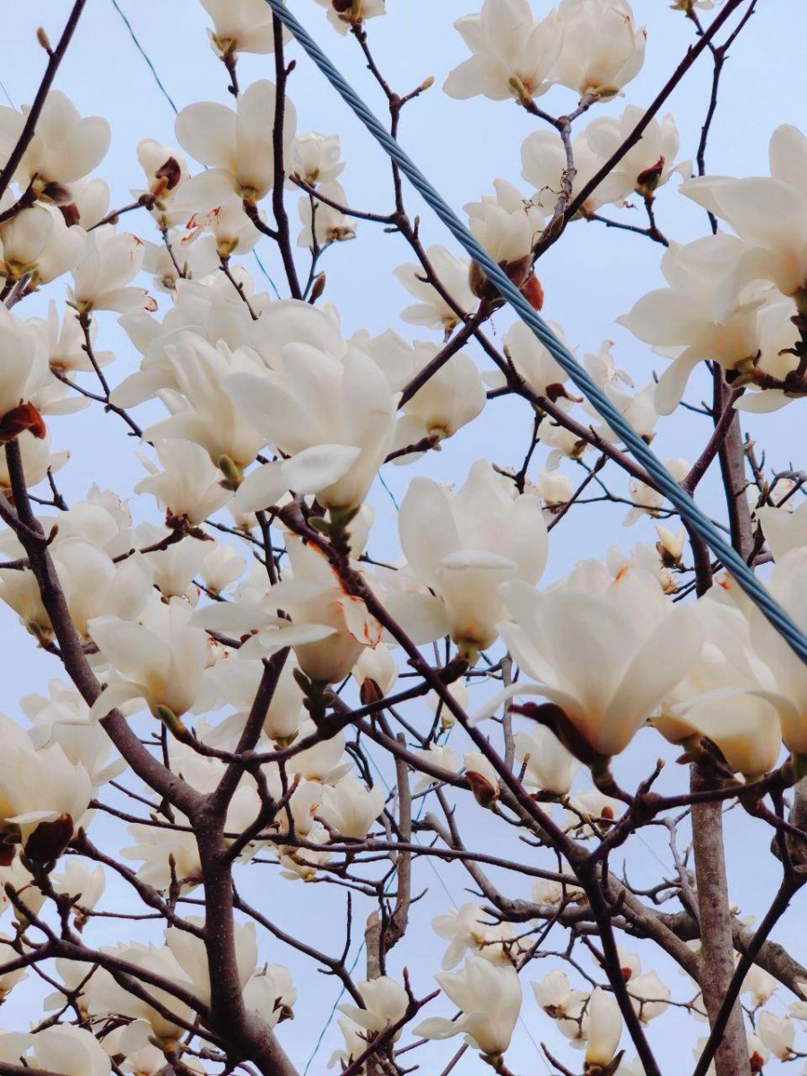 photo_2020-03-28_16-44-08