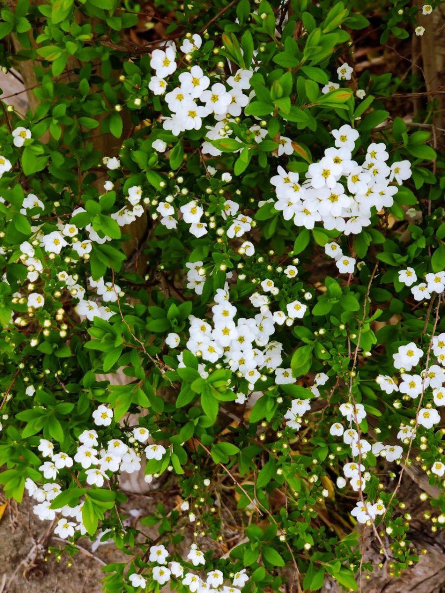 photo_2020-03-28_16-44-15