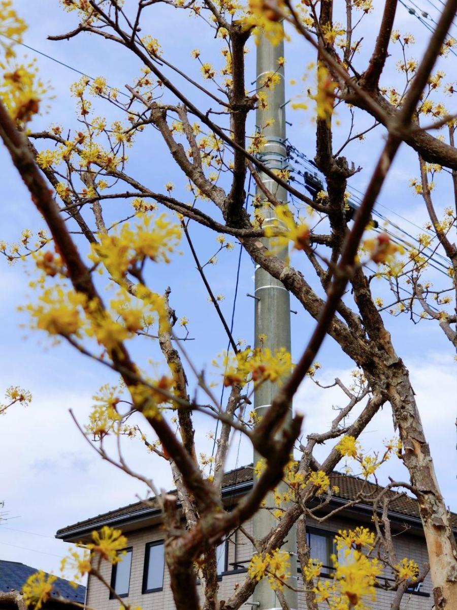 photo_2020-04-03_16-23-14