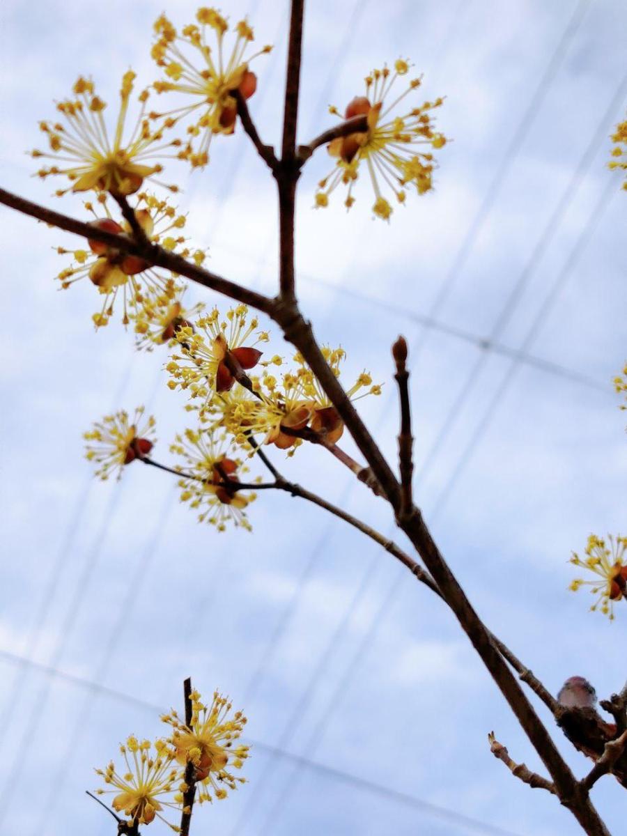 photo_2020-04-03_16-23-19