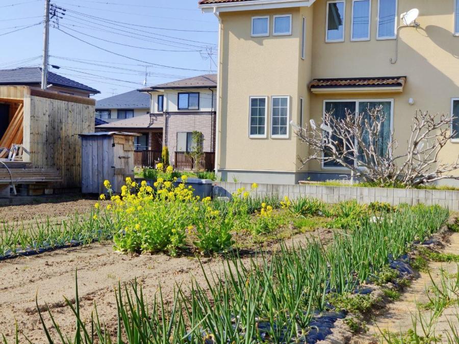 photo_2020-04-03_16-23-21