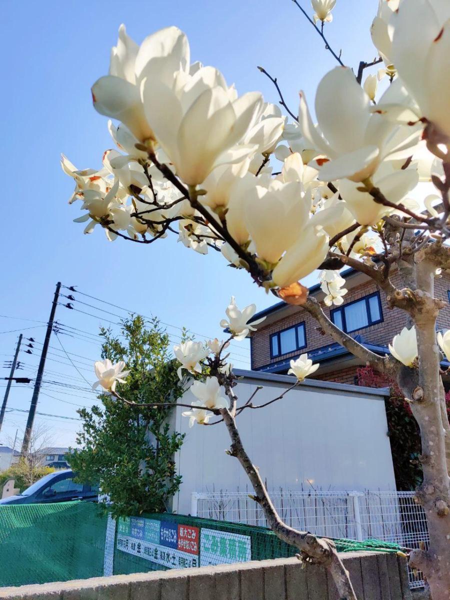 photo_2020-04-03_16-23-26