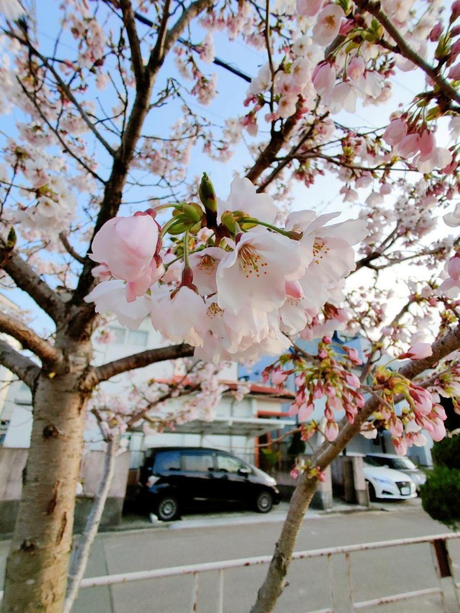 photo_2020-04-04_23-45-47