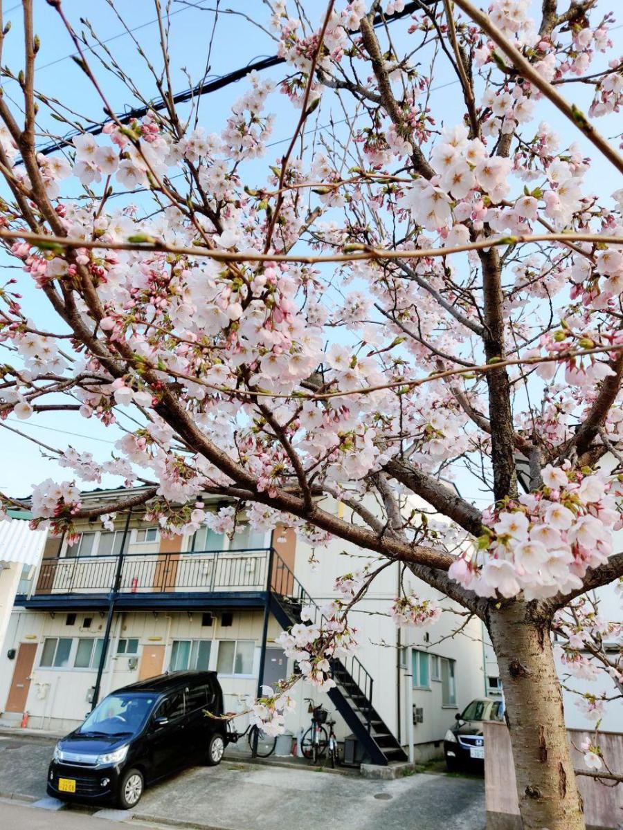 photo_2020-04-04_23-45-50