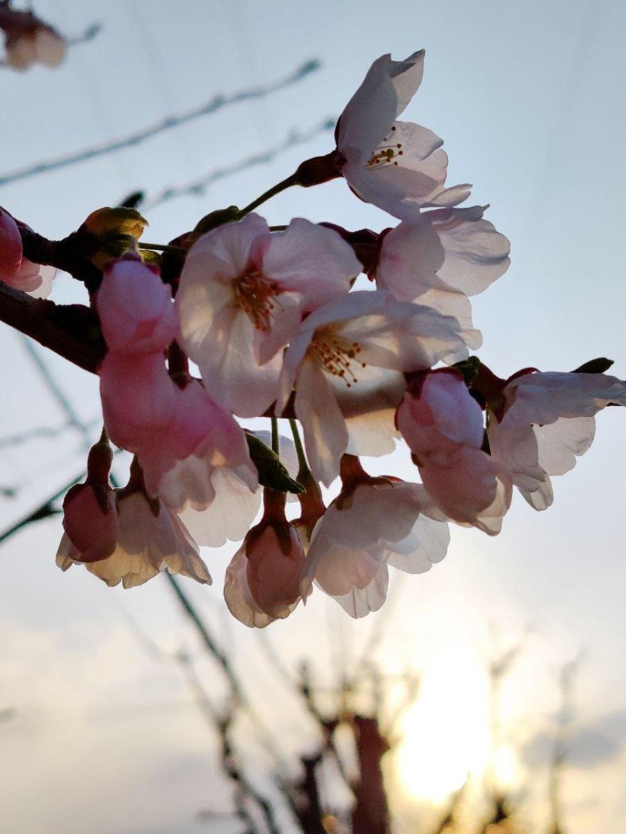 photo_2020-04-04_23-46-00