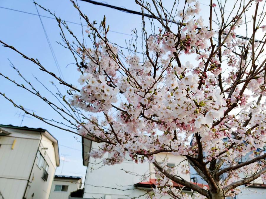 photo_2020-04-04_23-46-02