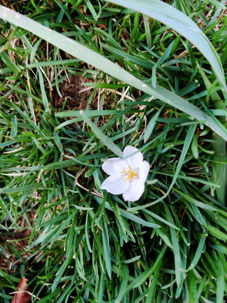 photo_2020-04-04_23-46-10