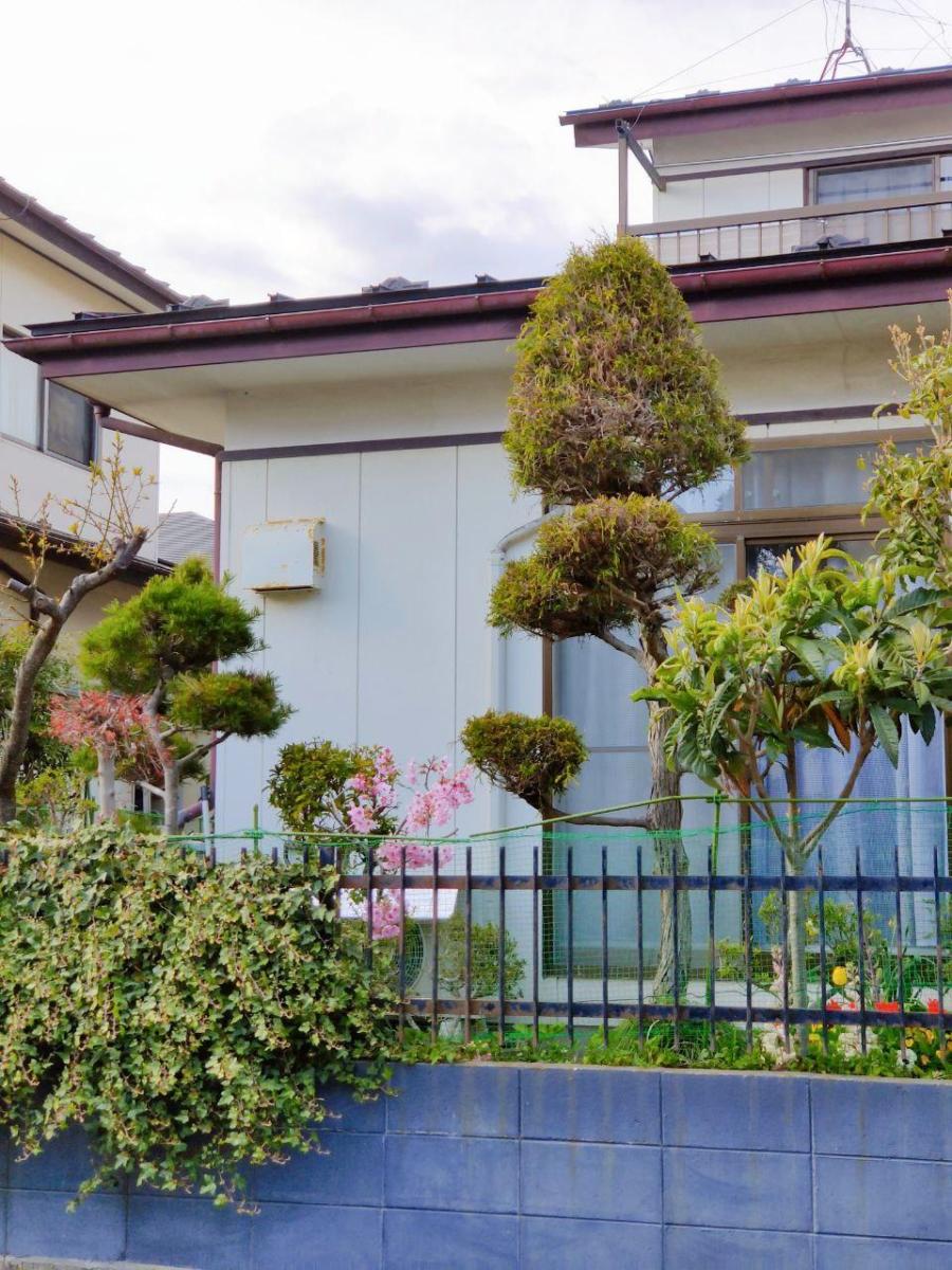 photo_2020-04-13_16-01-38