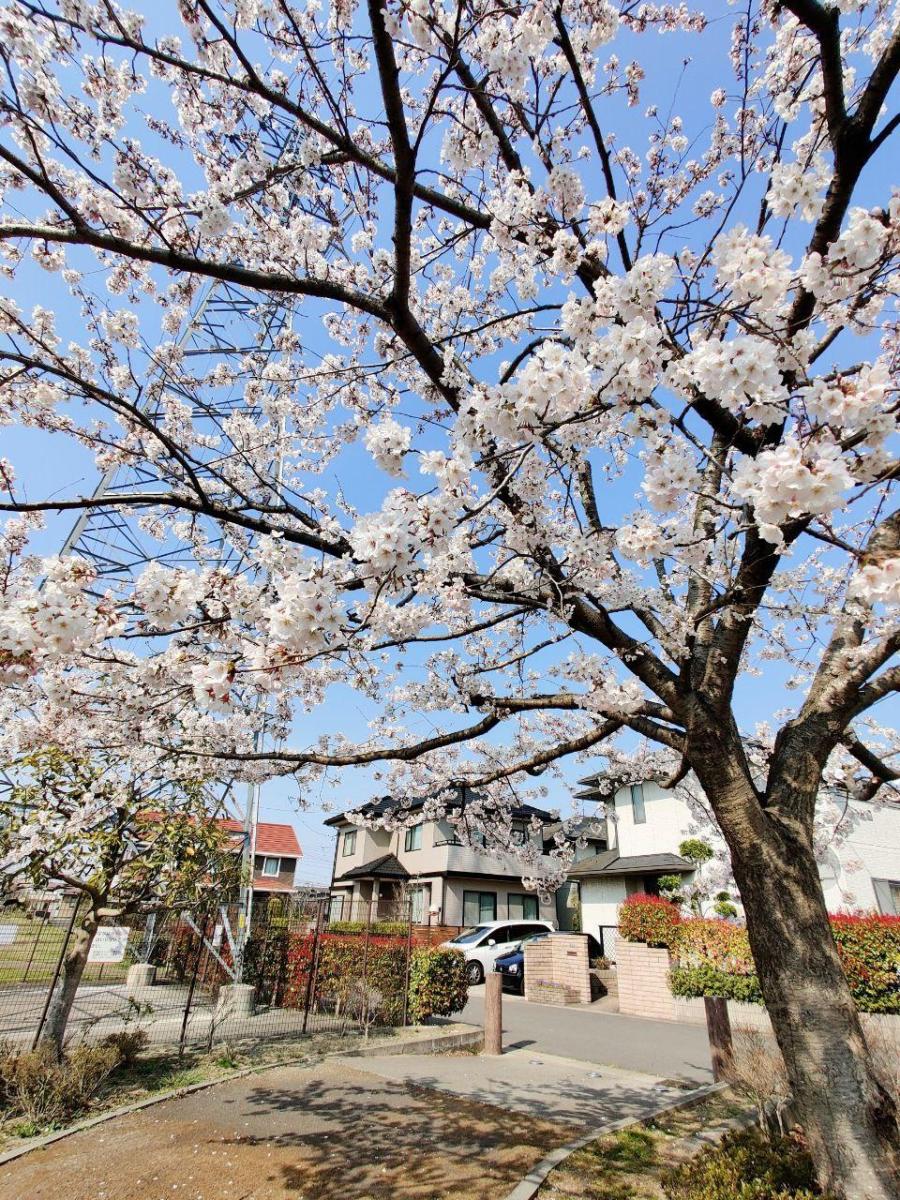 photo_2020-04-13_16-01-49