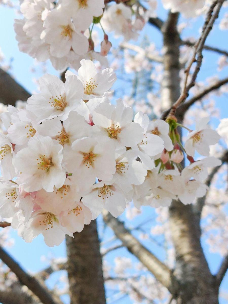 photo_2020-04-13_16-01-51