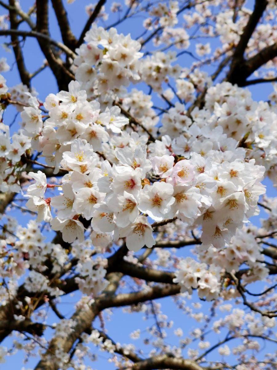 photo_2020-04-13_16-01-57