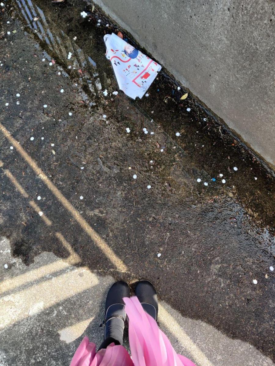 photo_2020-04-15_01-28-55