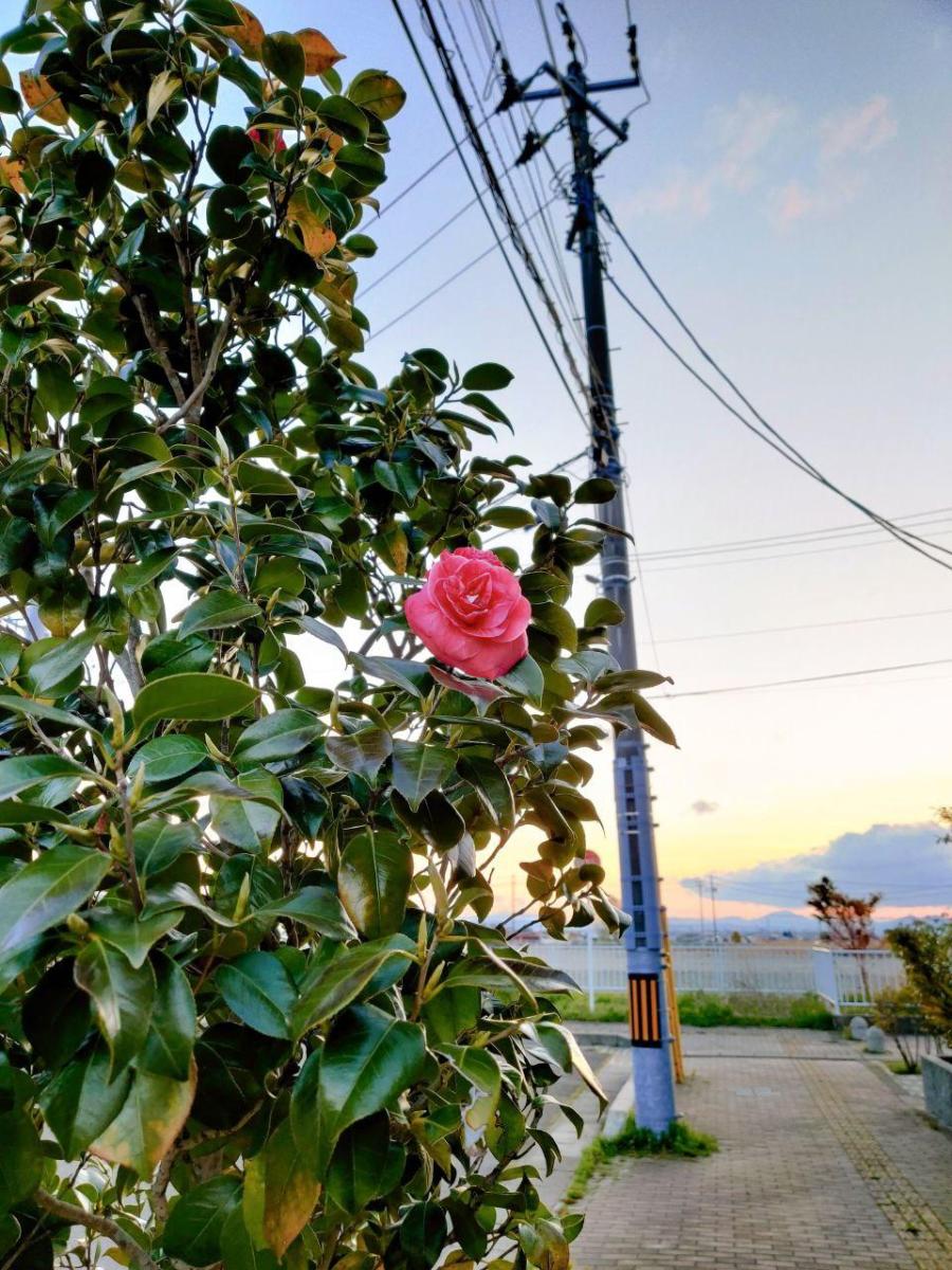 photo_2020-05-08_17-06-51