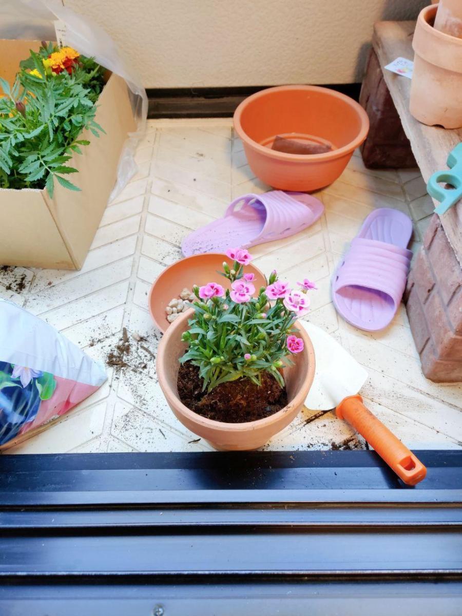 photo_2020-05-08_17-06-55