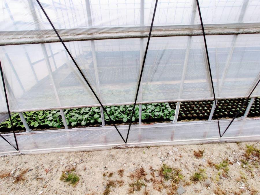 photo_2020-05-11_12-19-56