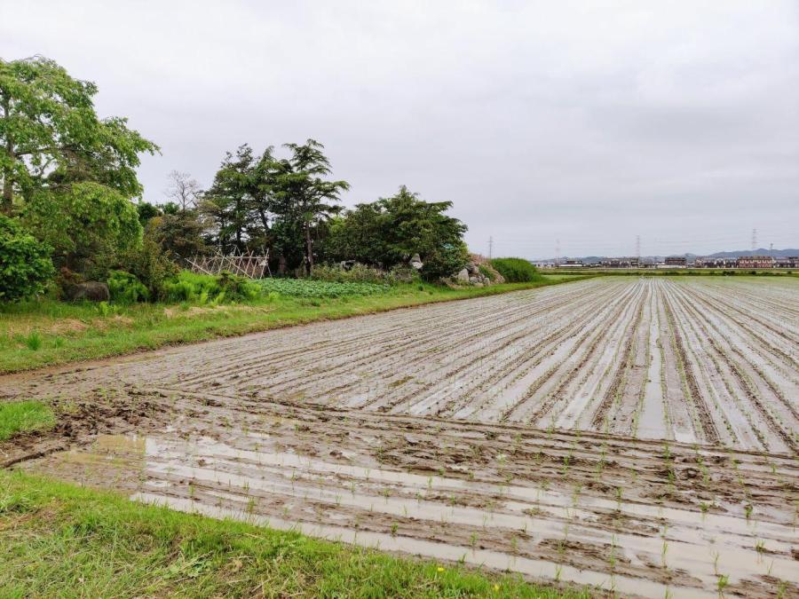photo_2020-05-22_18-22-07