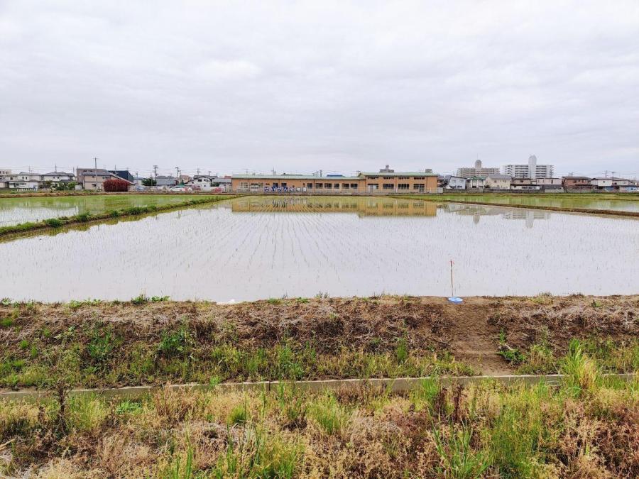 photo_2020-05-22_18-22-09