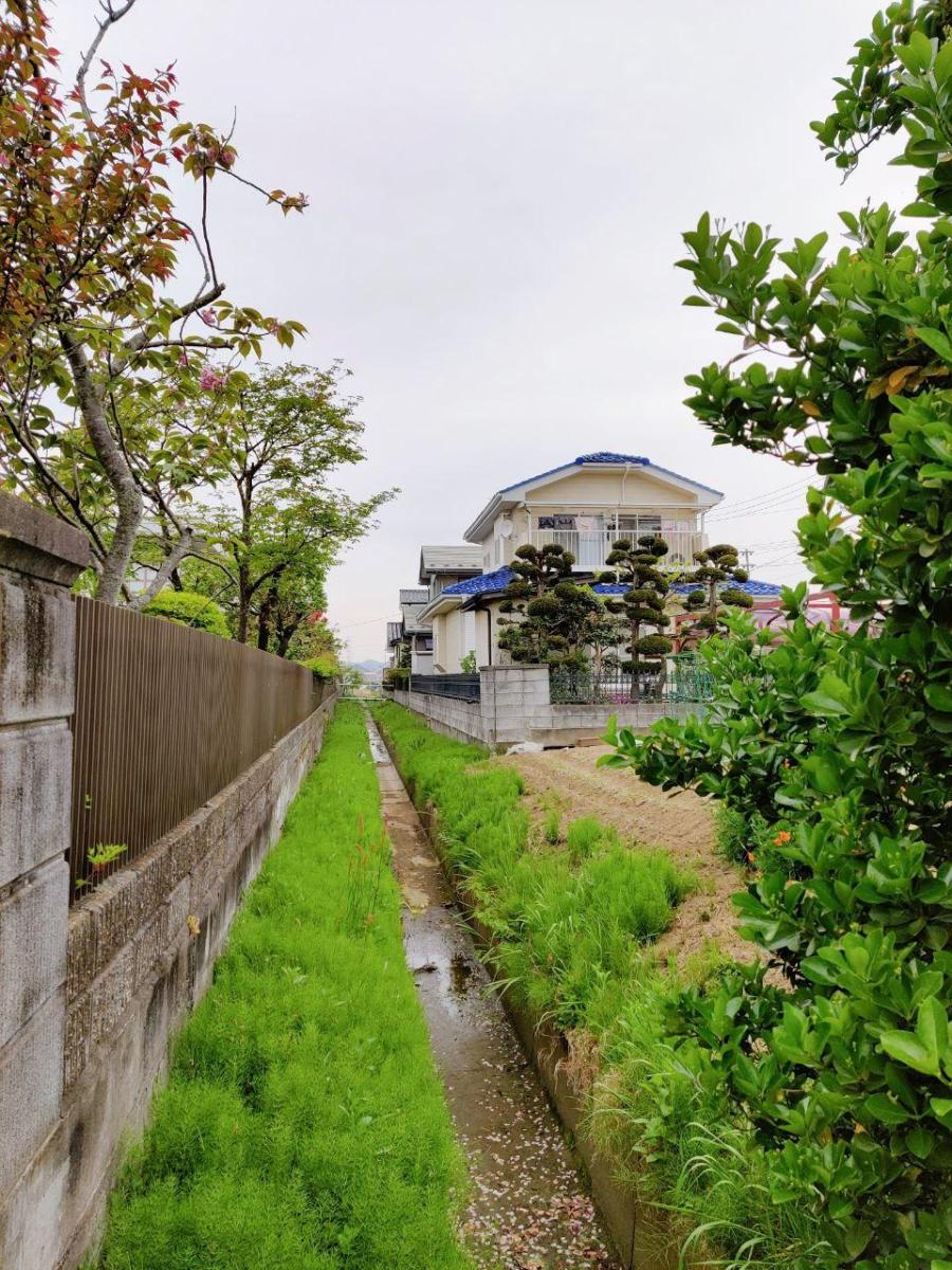 photo_2020-05-22_19-39-45