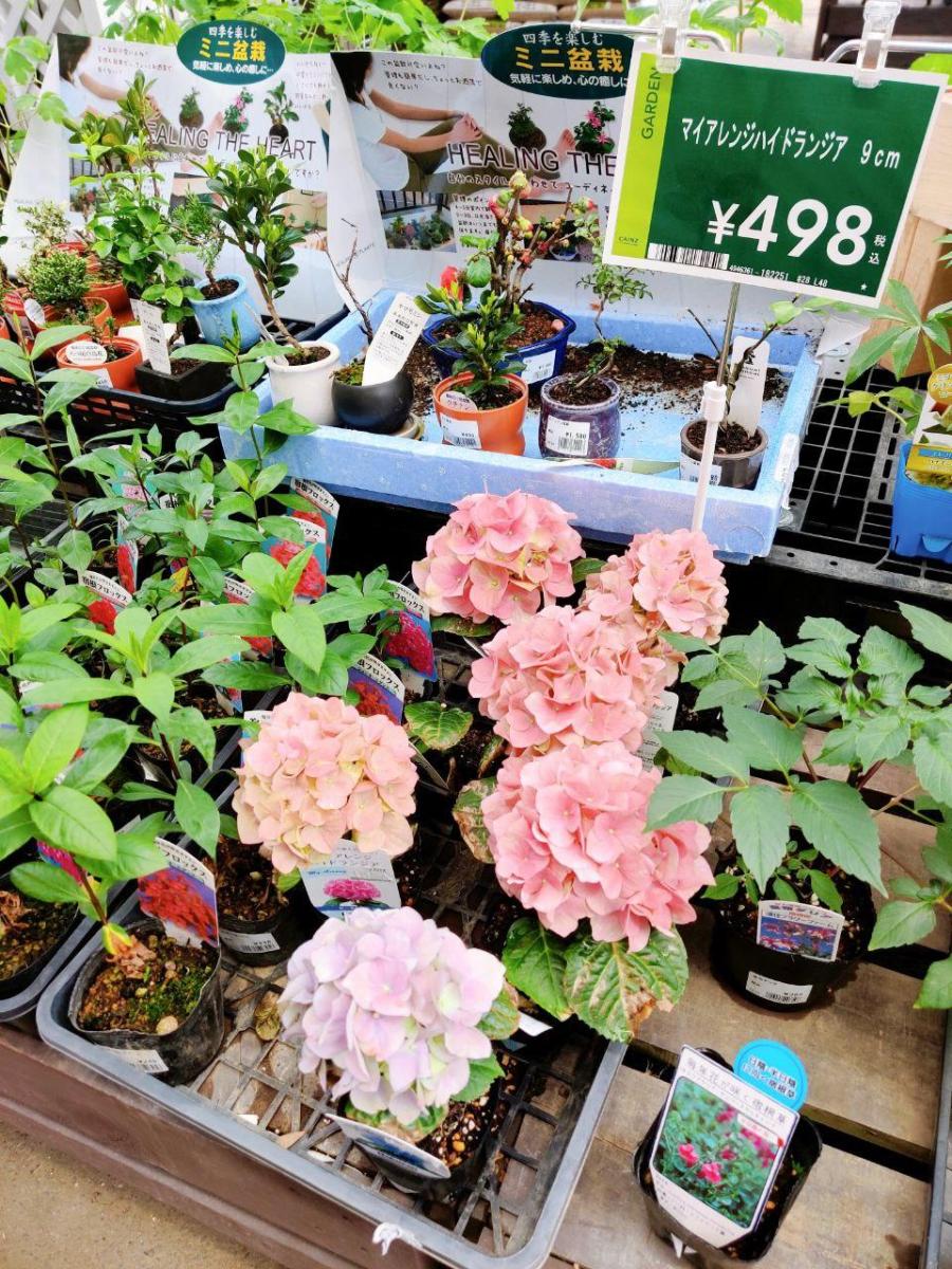 photo_2020-05-22_19-39-47