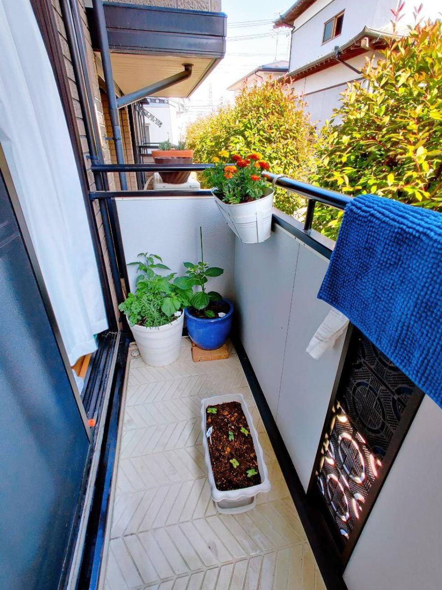 photo_2020-06-03_03-10-53