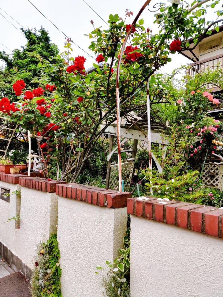 photo_2020-06-05_01-07-16