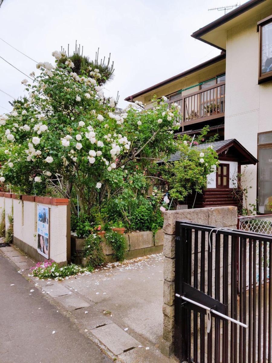 photo_2020-06-05_01-07-17