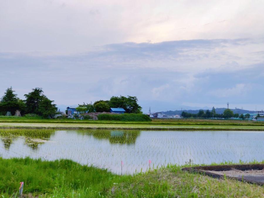 photo_2020-06-05_01-20-07