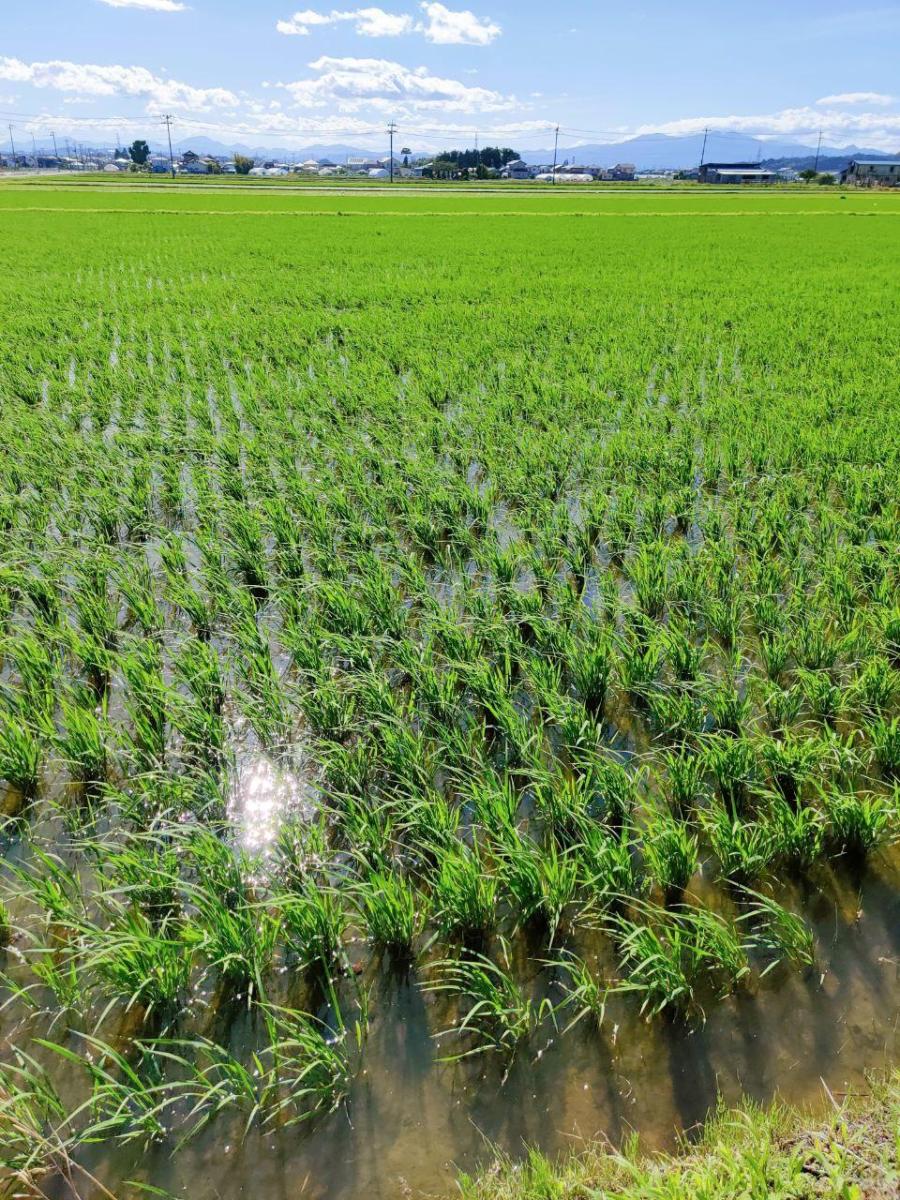 photo_2020-06-25_16-32-48