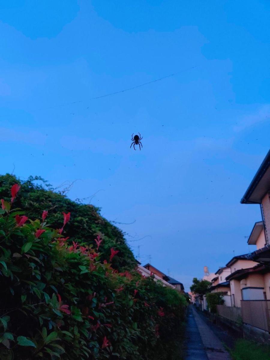 photo_2020-07-08_22-25-52 (2)